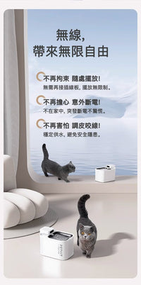 PETKIT_Eversweet_Max_無線智能飲水機