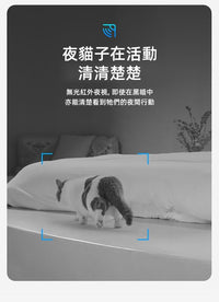 PETKIT_Yumshare_SOLO_智能餵食器_(鏡頭版/實時影像)