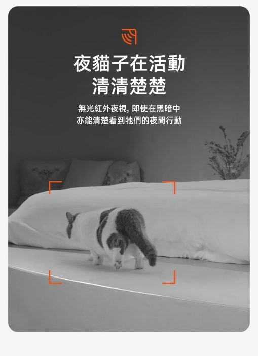 PETKIT_Yumshare_Gemini_雙糧倉智能餵食器_(鏡頭版/實時影像)