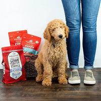 Stella & Chewy's 幼犬凍乾外層狗乾糧 - 放養雞配方 / Puppy Freeze Dried Cage Free Chicken Raw Coated Dog Dry Food