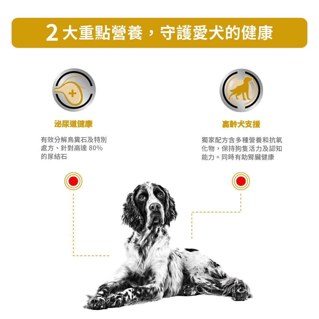 Royal Canin - VHN Dog Urinary AG 7+ 成犬7歲以上泌尿道處方濕糧85g