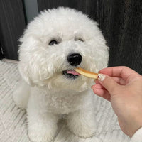 Petio 極上 無添加 芝士雞胸肉條 100g
