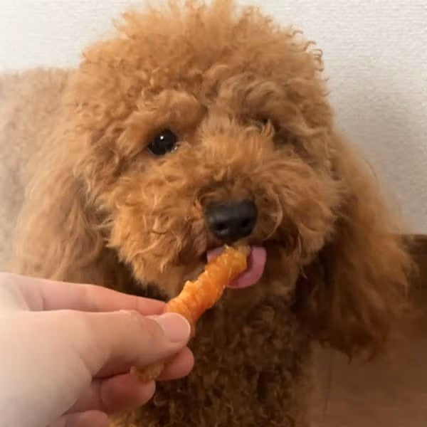 Petio 米香鮮嫩雞肉捲(10支裝)