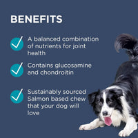 PAW OSTEOCARE JOINT PROTECT CHEWS 500G 100'S 狗用關節護理健康咀嚼片 500g 100粒裝