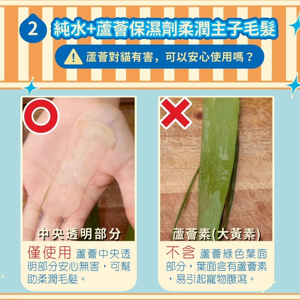 ODOUT 臭味滾 貓用抗菌除臭濕紙巾 (1包50抽)