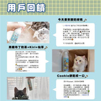 ODOUT 臭味滾 貓用除臭/抑菌噴霧瓶 0.5L