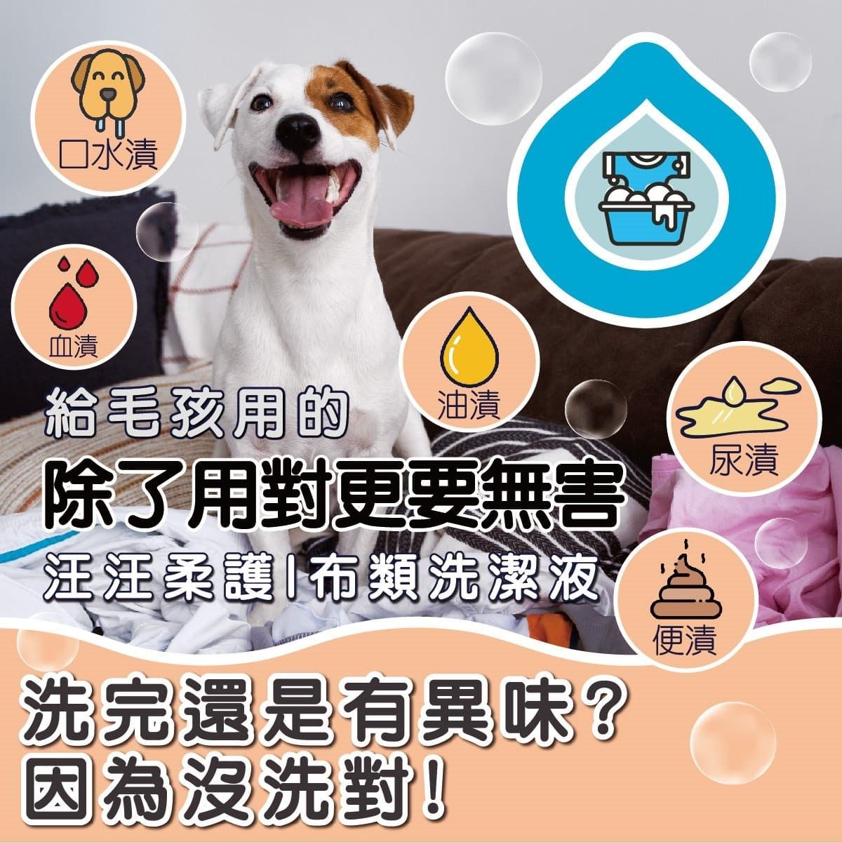 ODOUT 臭味滾 狗用布類洗潔液 1L