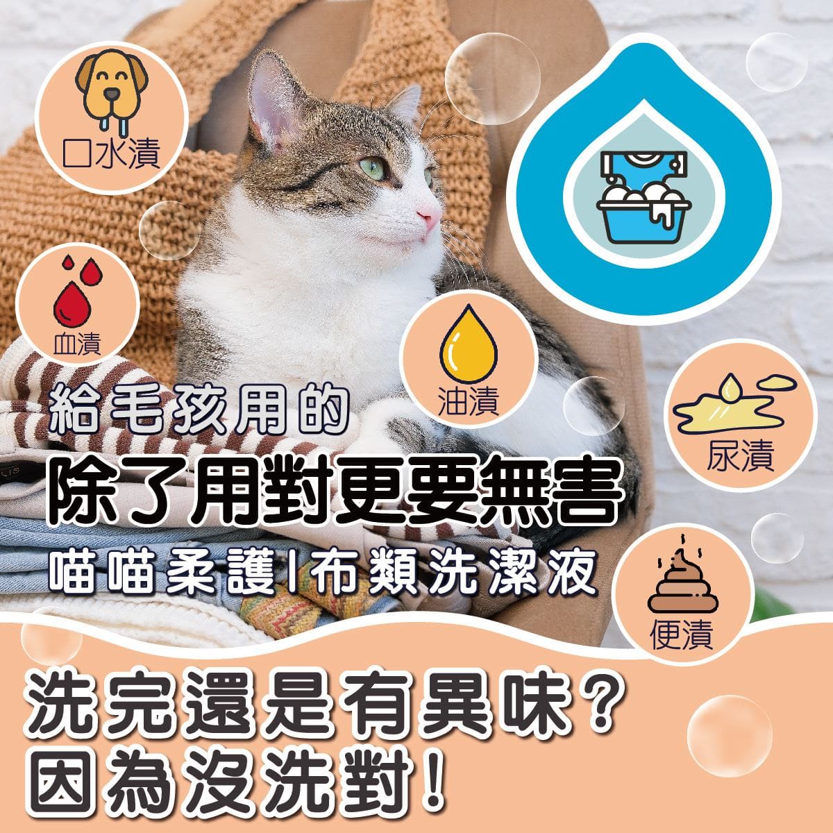 ODOUT 臭味滾 貓用布類洗潔液 1L
