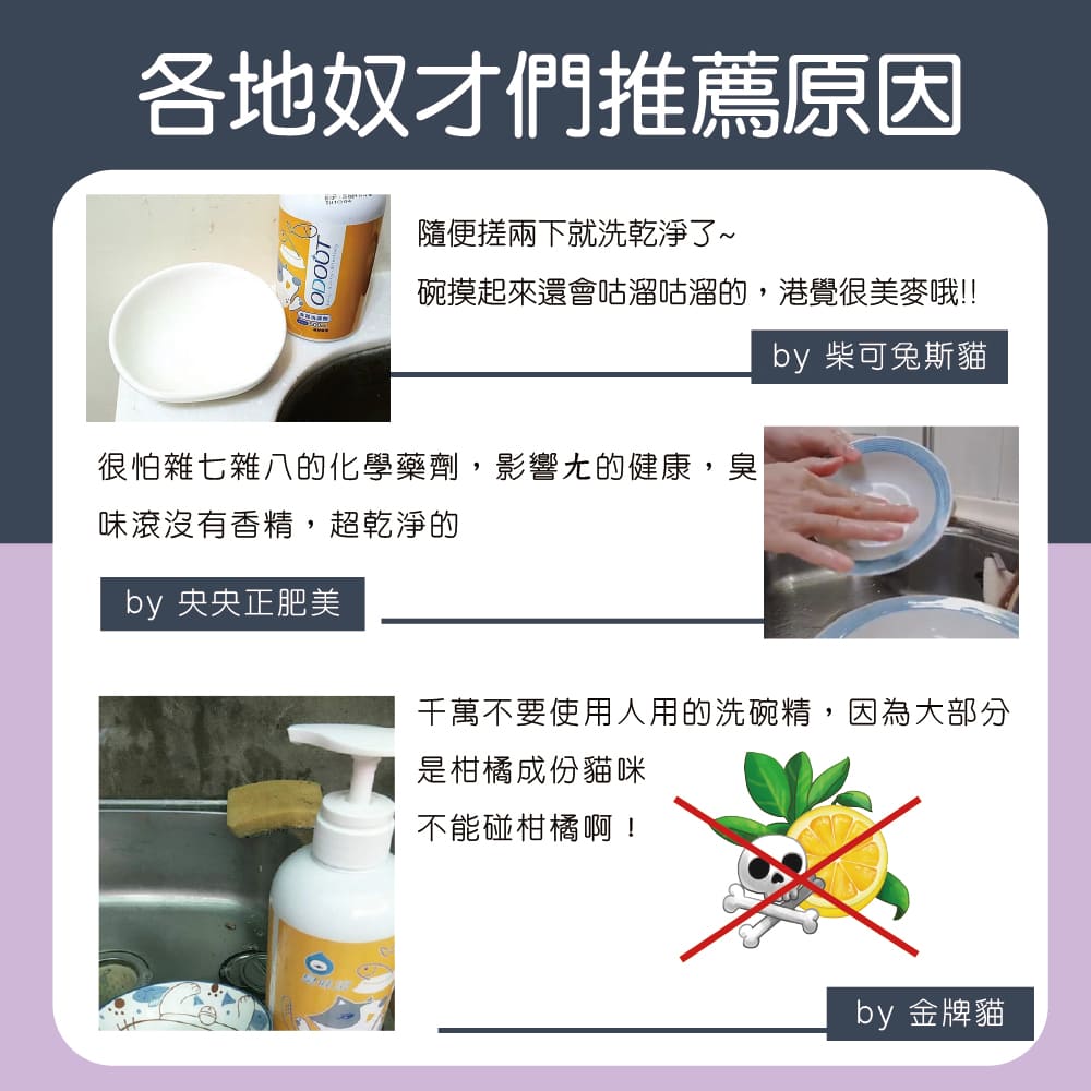 ODOUT 臭味滾 貓用食器洗滌劑 0.5L