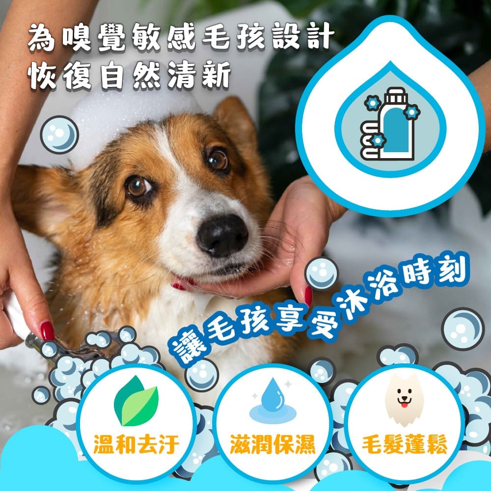ODOUT 臭味滾 天然除臭清潔乾洗粉 100g