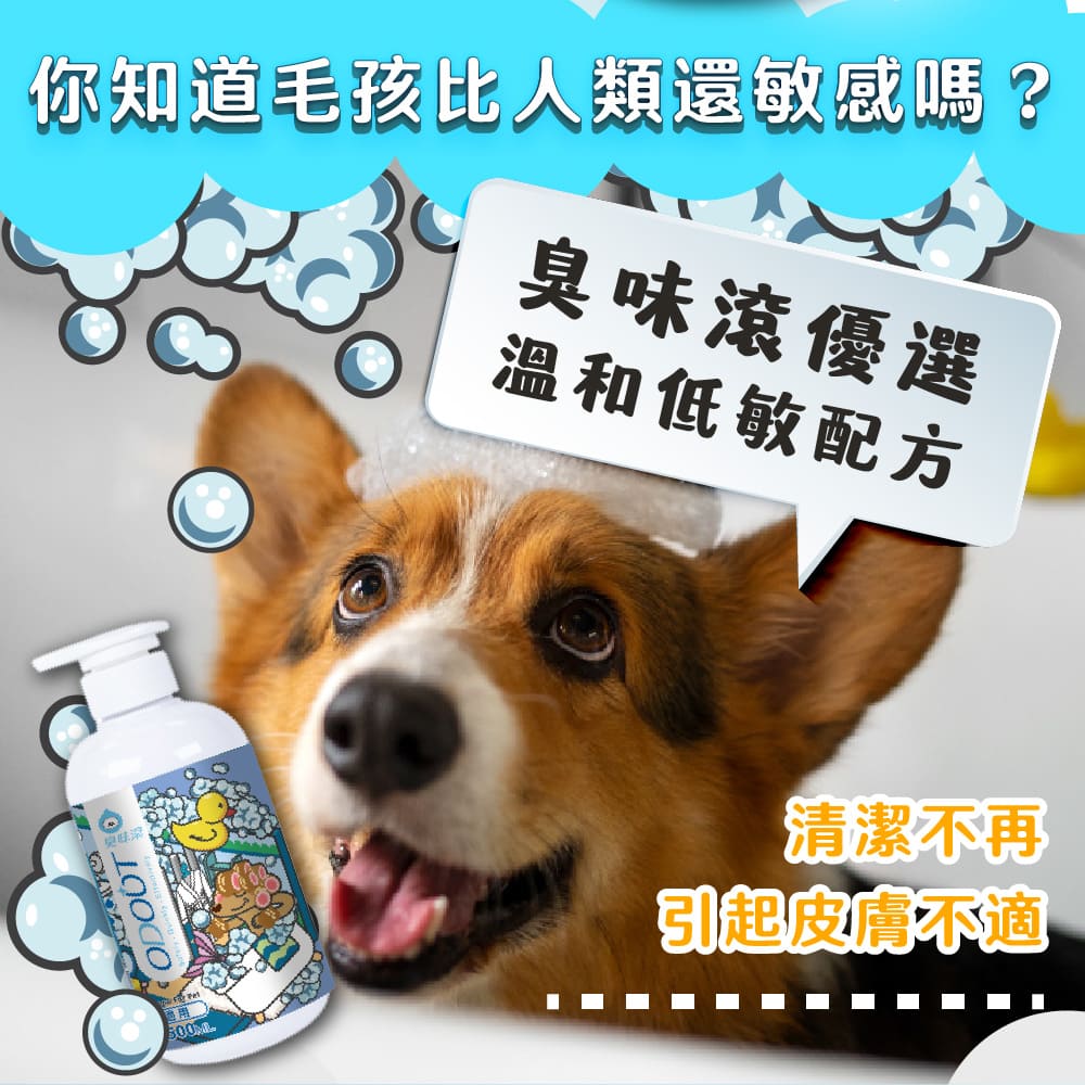 ODOUT 臭味滾 天然除臭清潔乾洗粉 100g