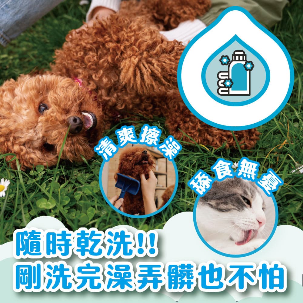 ODOUT 臭味滾 高效泡沫尿垢分解噴霧 500ml