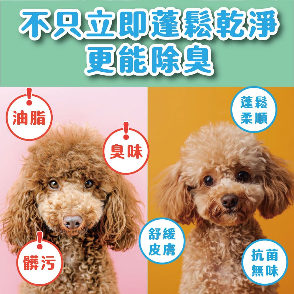 ODOUT 臭味滾 高效泡沫尿垢分解噴霧 500ml