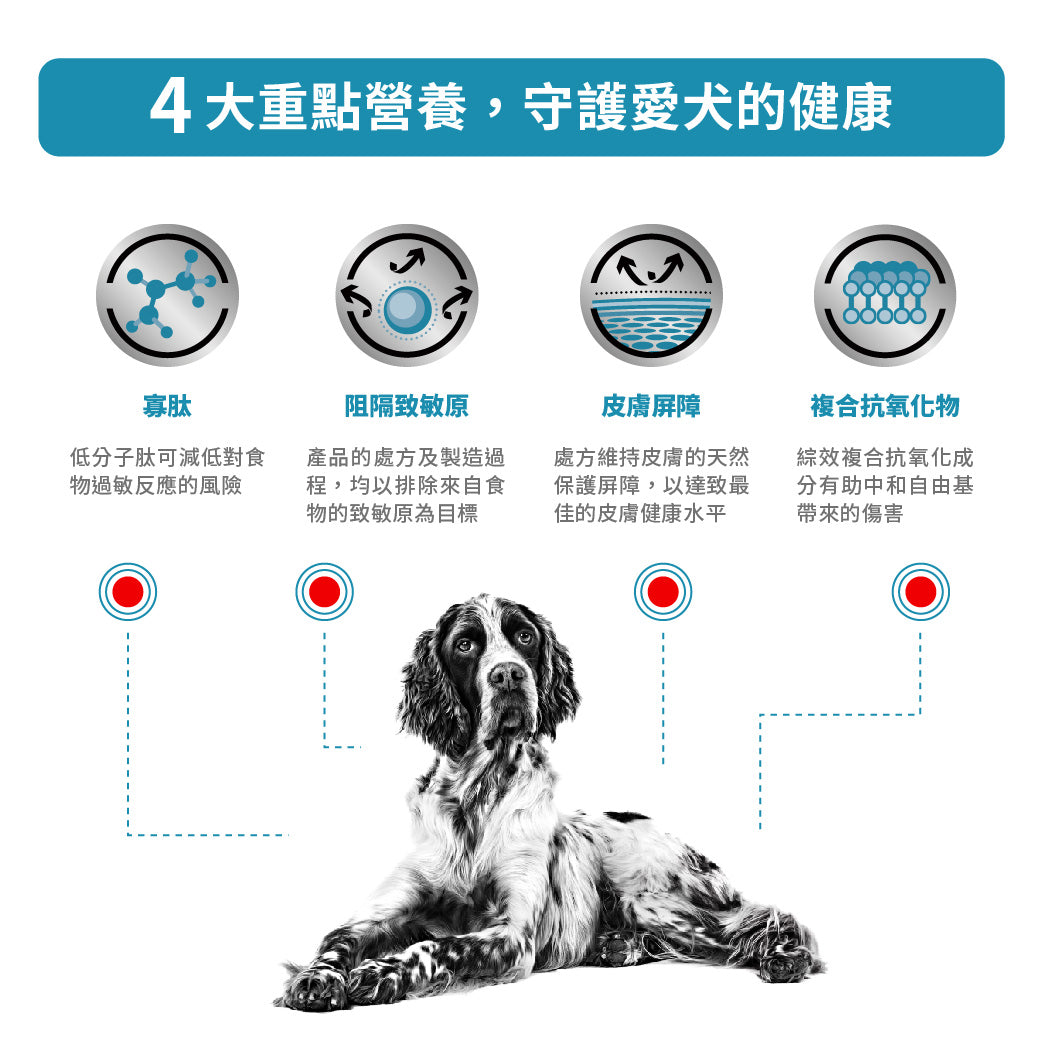 Royal Canin - VHN Dog Anallergenic 成犬高度水解低敏感處方糧