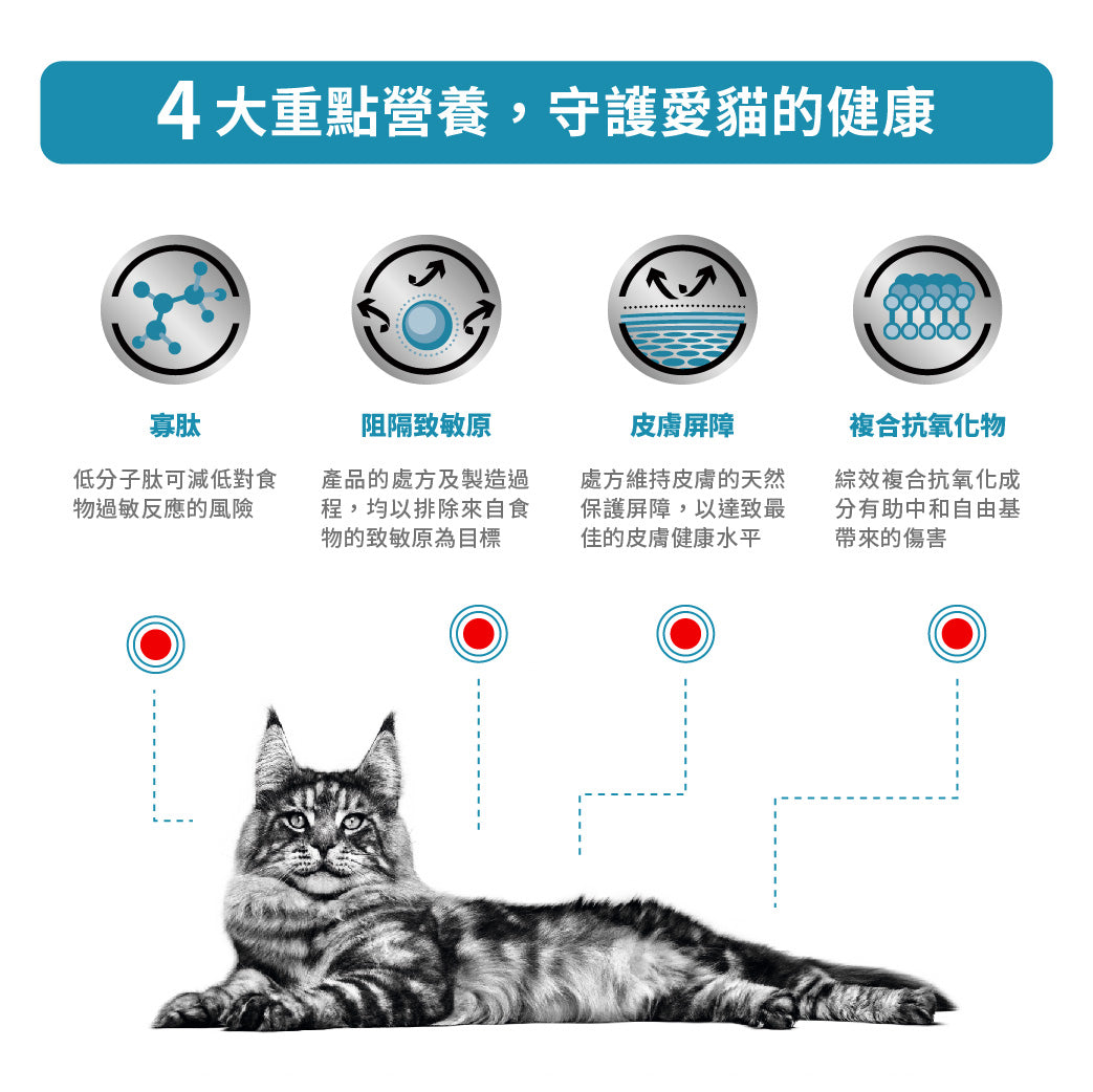 Royal Canin - VHN Cat Anallergenic 成貓高度水解低敏感處方糧