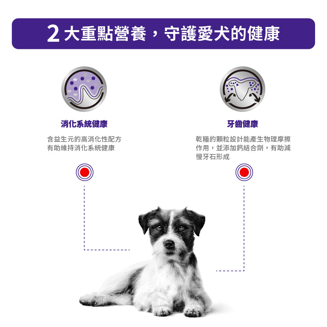 Royal Canin - VHN Adult Small Dog 小型成犬處方糧