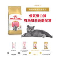 Royal Canin 法國皇家幼貓乾糧 - 英國短毛幼貓 British Shorthair Kitten
