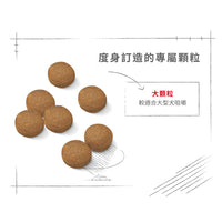 Royal Canin 法國皇家狗乾糧 - 大型成犬營養配方 Maxi Adult
