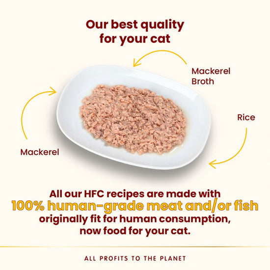 Almo Nature 貓濕糧 - 開胃精萃鮮燉包系列 - 鯖魚50g / HFC Appetizing - Mackerel 50g