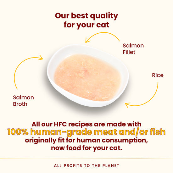 Almo Nature 貓濕糧 - 水潤護理鮮湯包系列 - 三文魚湯+三文魚肉50g / HFC Hydration Help - Salmon Broth with Salmon Fillet 50g