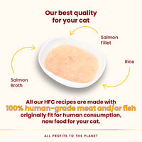 Almo Nature 貓濕糧 - 水潤護理鮮湯包系列 - 三文魚湯+三文魚肉50g / HFC Hydration Help - Salmon Broth with Salmon Fillet 50g