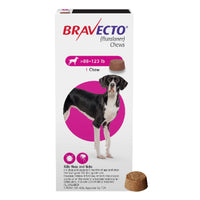 Bravecto 一錠除 (消滅牛蜱、跳蚤及毛囊蟲)
