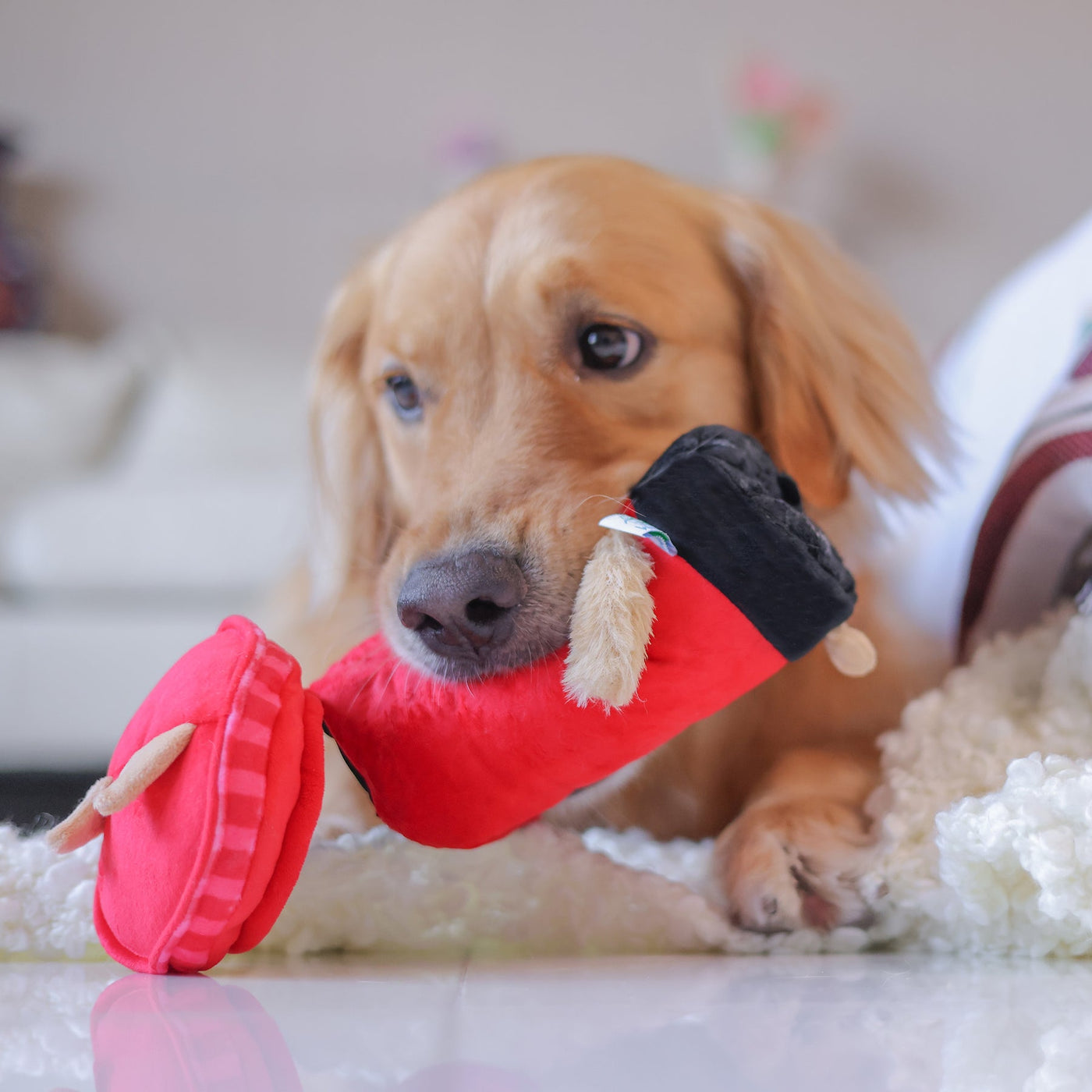 Woof_英式郵筒漏食寵物毛絨玩具