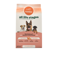 Canidae 美國咖比狗乾糧 - All Life Stages - 三文魚+原始穀物配方 / Dry Dog Food, Real Salmon & Ancient Grains Recipe