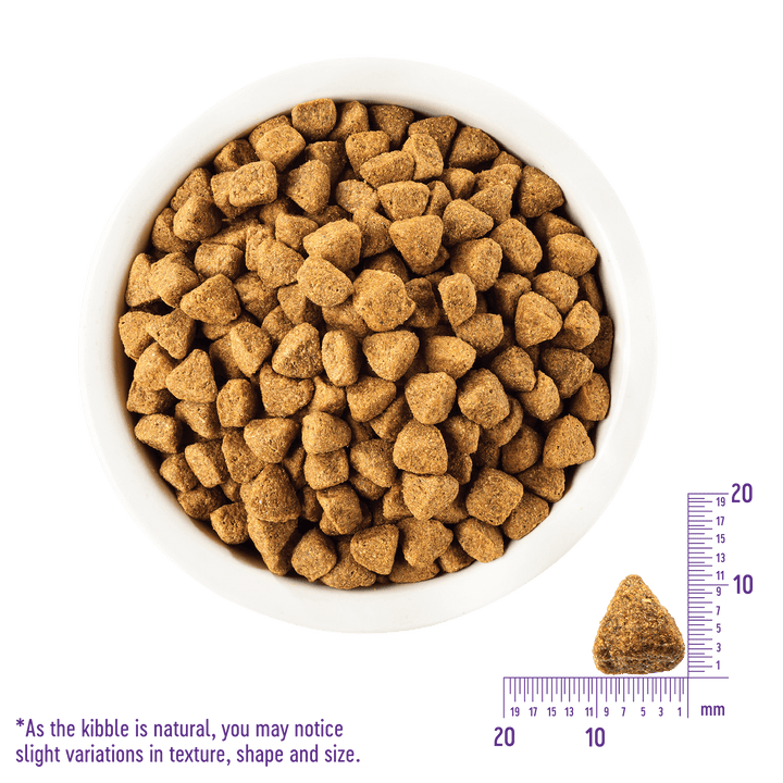 wellness_complete_全能配方成犬乾糧_無穀物雞肉配方