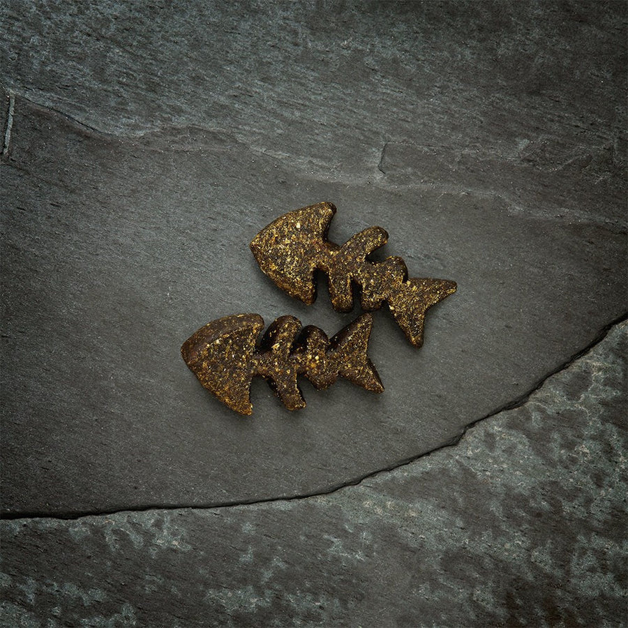 Canagan 原之選 膠原蛋白三文魚粒狗小食 200g
