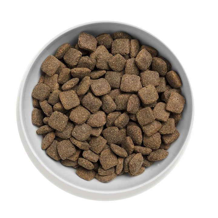 Canagan (原之選) 無穀物狗乾糧 - 放牧羊配方