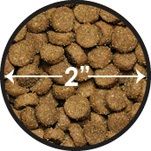Canidae 美國咖比貓乾糧 - PURE 無穀物 - 雞肉全貓配方 / Dry Cat Food with Chicken