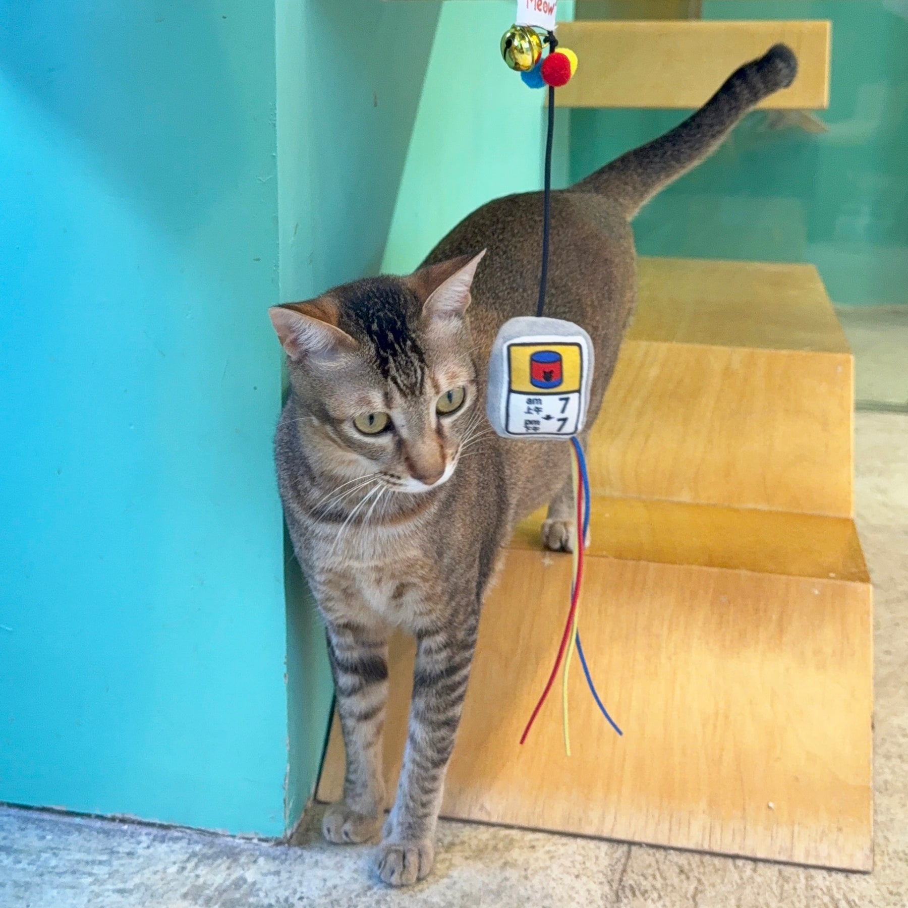 Meow_罐罐時間逗貓棒