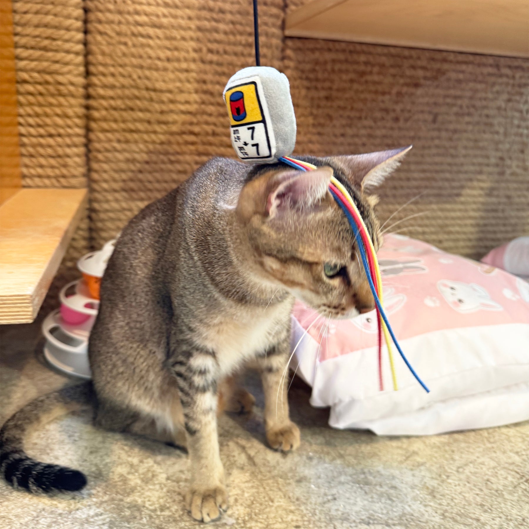 Meow_罐罐時間逗貓棒