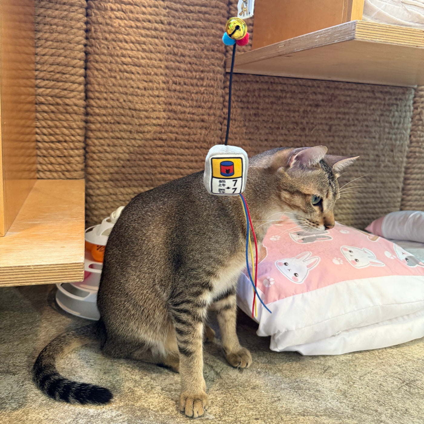 Meow_罐罐時間逗貓棒