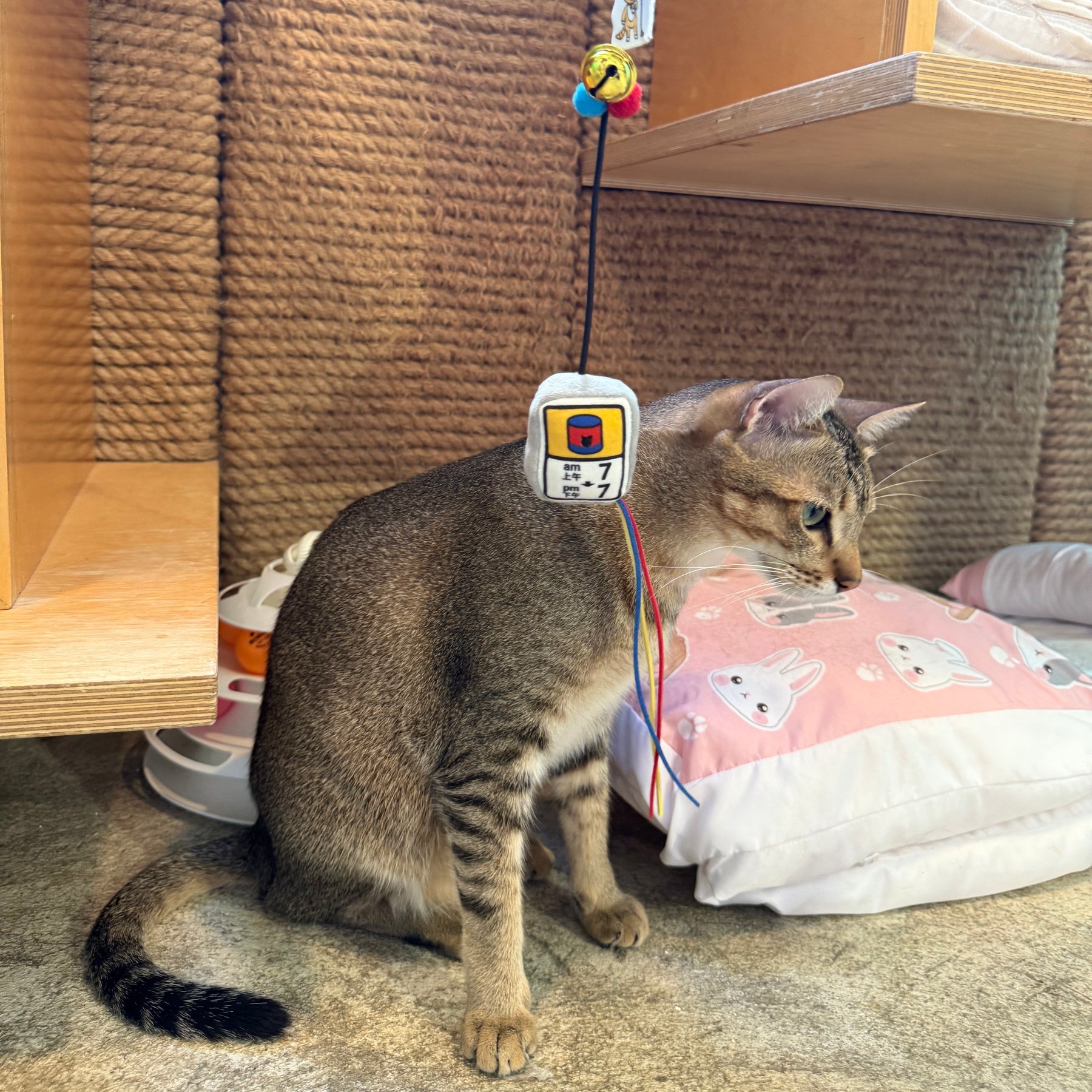 Meow_罐罐時間逗貓棒