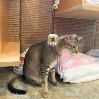 Meow_罐罐時間逗貓棒