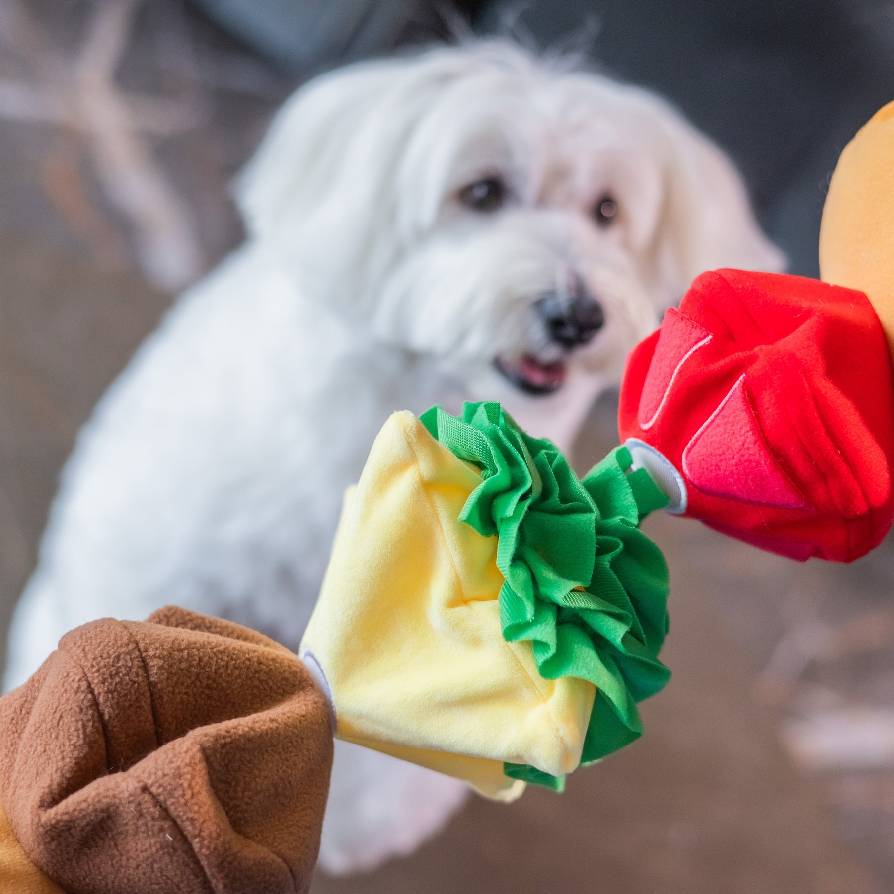 Woof_芝士漢堡藏食寵物毛絨玩具