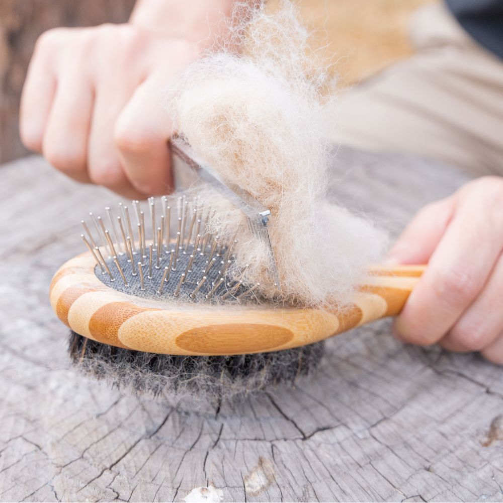 檜沐先生 兩用按摩梳 / 長短毛兩用 Hinoki Sensei 2-in-1 Massage Comb