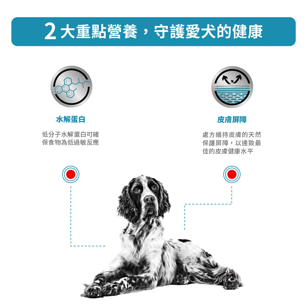 Royal Canin - VHN Dog Hypoallergenic成犬低敏處方濕糧400g