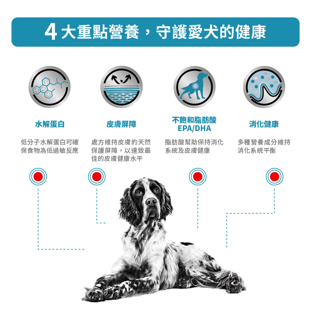 Royal Canin - VHN Dog Hypoallergenic成犬低敏感處方糧