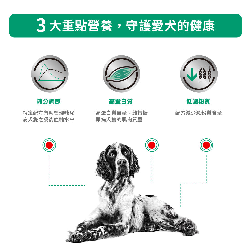 Royal Canin - VHN Dog Diabetic Special 成犬糖尿病處方濕糧罐頭 410g