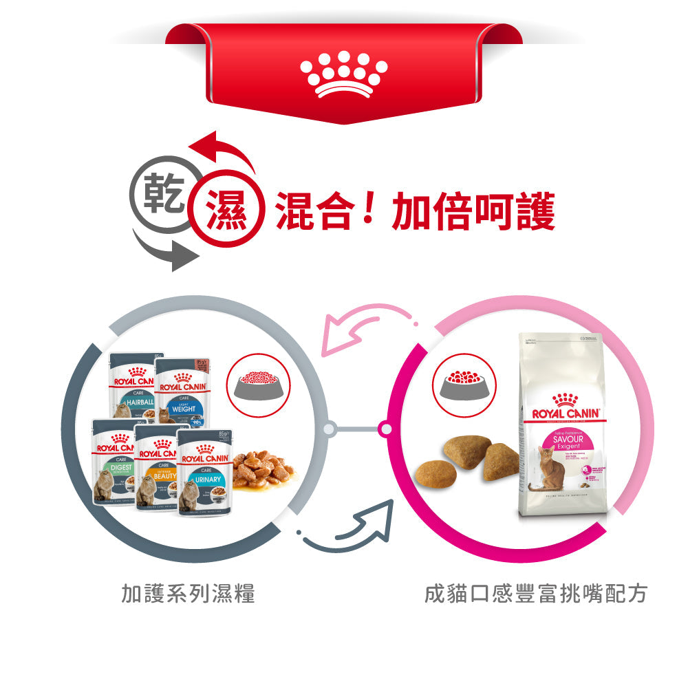 Royal Canin 法國皇家貓乾糧 - 成貓口感豐富挑嘴配方 Savour Exigent