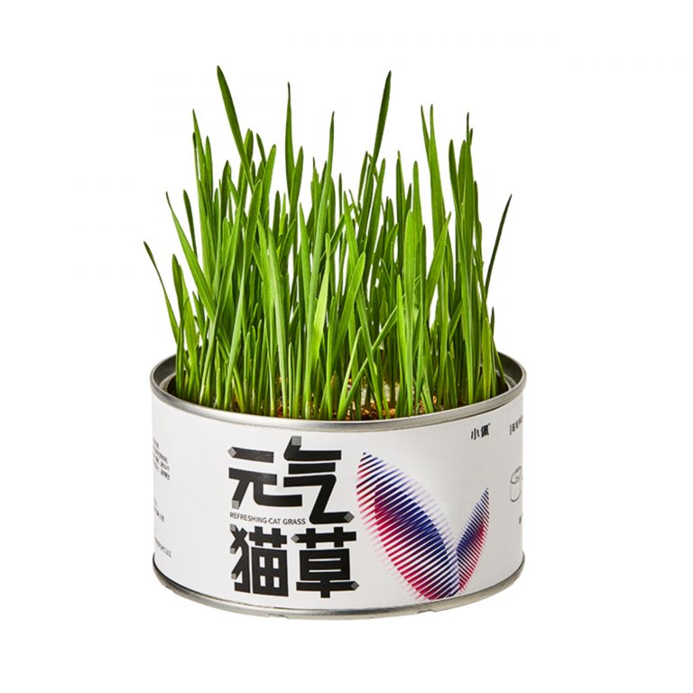 PETKIT_元氣貓草罐