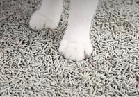 PETKIT_活性碳除臭豆腐砂_6L