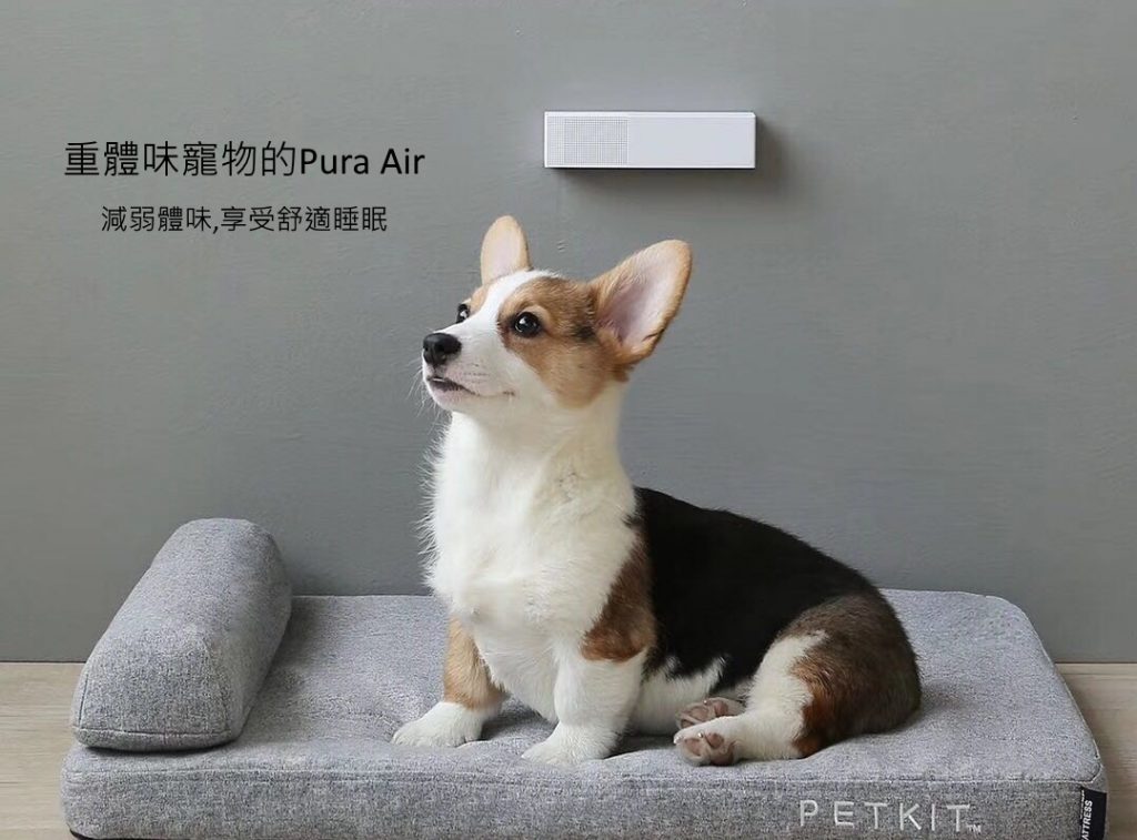 PETKIT_Pura_Air_智能除臭器_(Pura_cat貓廁所適用)