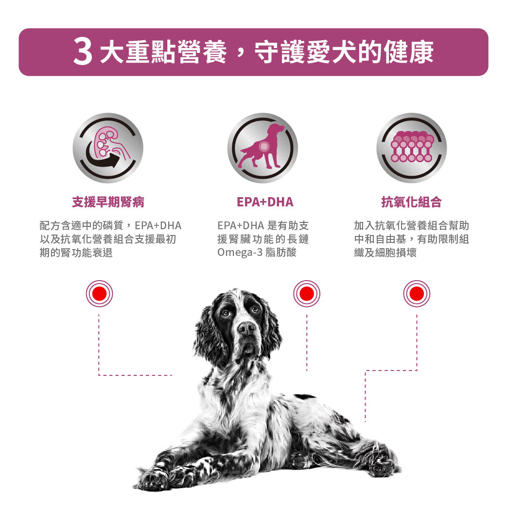 Royal Canin - VHN Dog Early Renal 成犬早期腎臟處方濕糧100g
