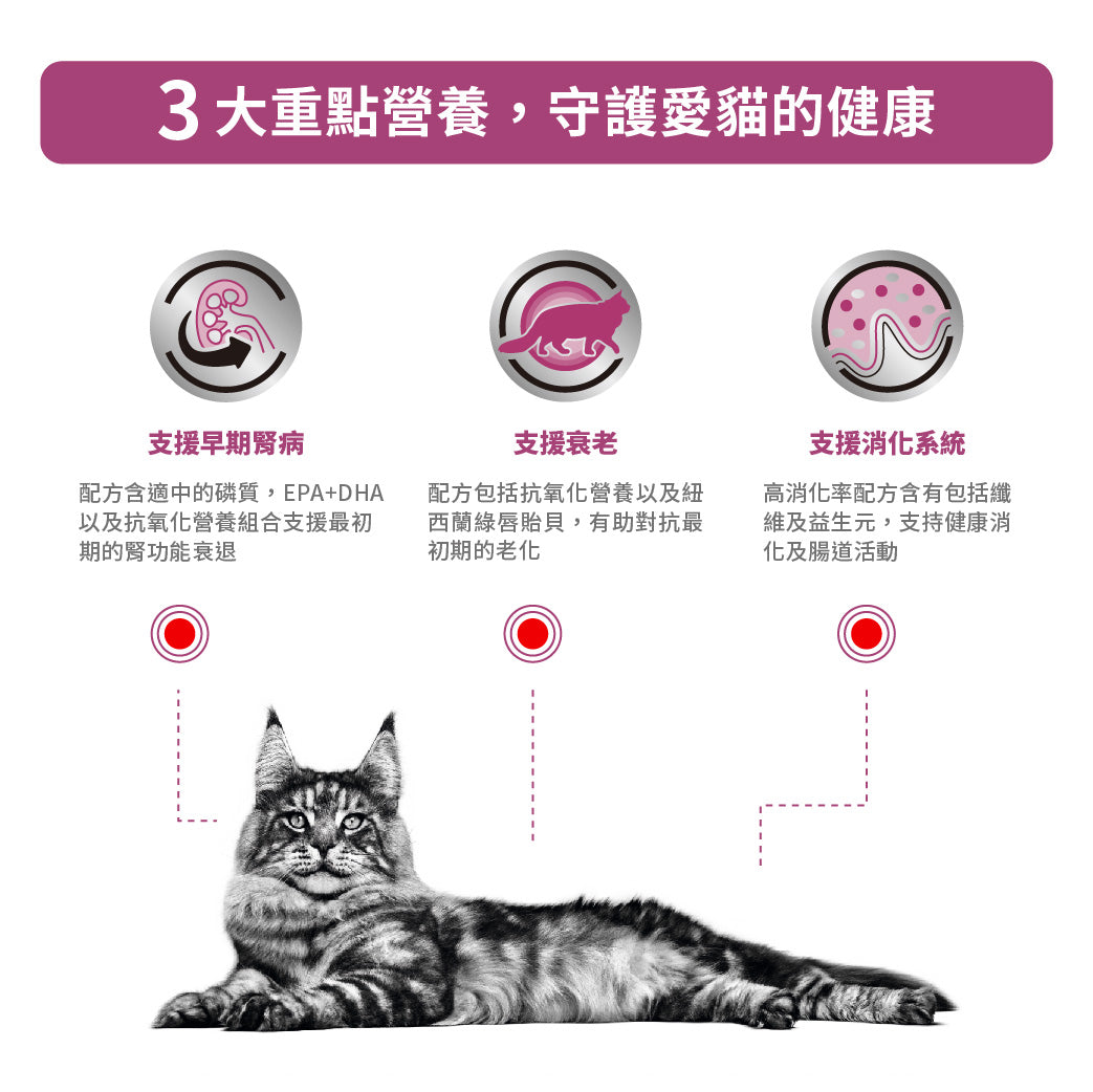 Royal Canin - VHN Cat Early Renal 成貓早期腎臟處方濕糧85g