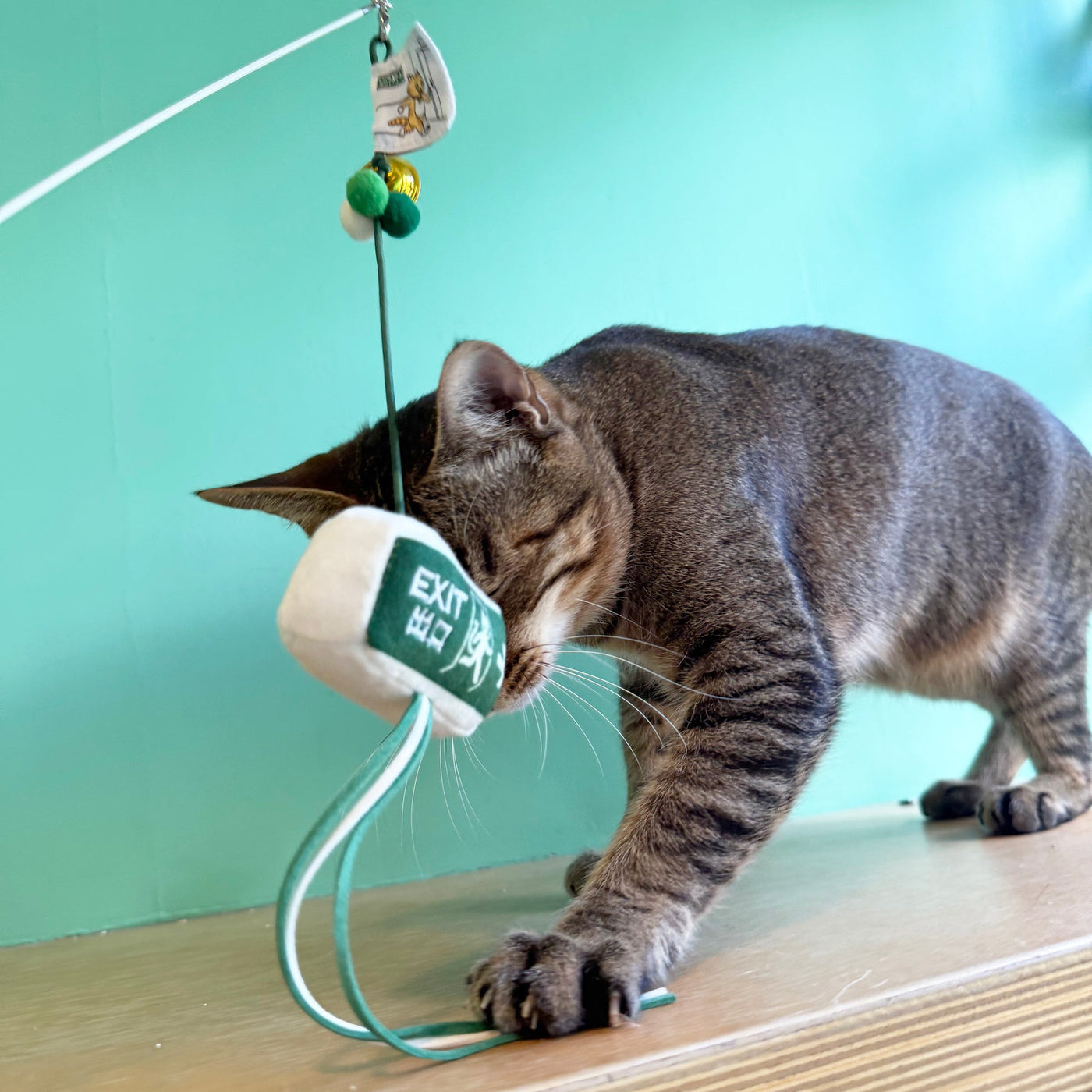 Meow_逃生出口逗貓棒