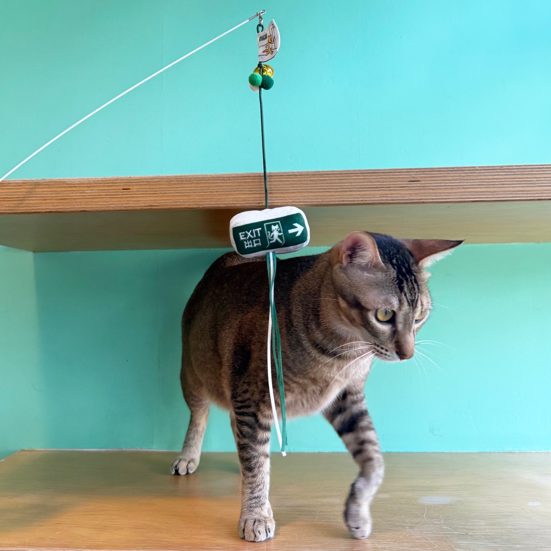 Meow_逃生出口逗貓棒